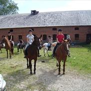 Frederiksborg Flicka Ravnkilde