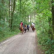 Frederiksborg Flicka Ravnkilde