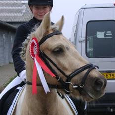 Anden særlig race Sofielunds Baloo                      (Søsters)