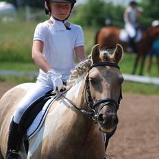 Anden særlig race Sofielunds Baloo                      (Søsters)