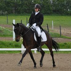 DSP Freja Pascal *SOLGT*