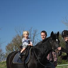 Anden særlig race Sheila 