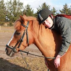 Hollandsk Sportspony Benny (GL PART)