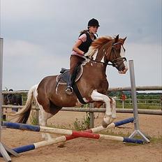 Pinto safri højgård