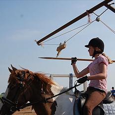 Pinto safri højgård