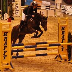 Tysk Sportspony Lindenbooms Patrizia(Amy)