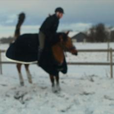 Anden særlig race Freja