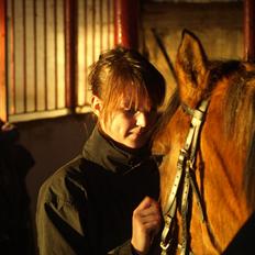 Anden særlig race Freja