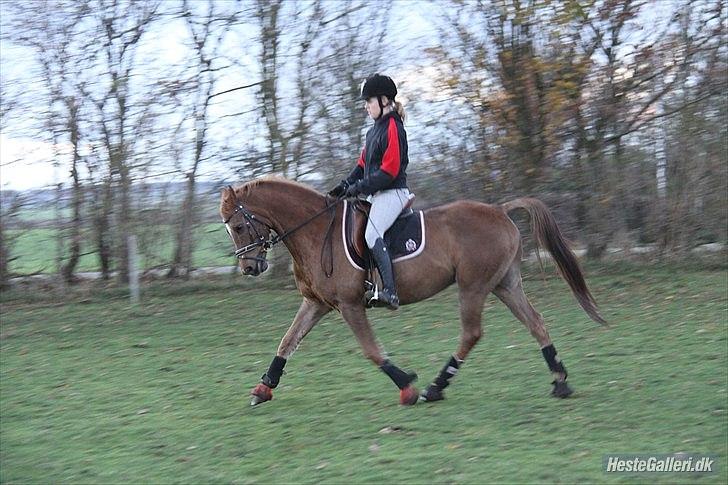 DSP Bobby Joe *solgt* billede 13