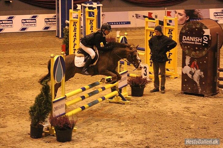 Anden særlig race AN-DRO - Andro og jeg til warm up 2010. billede 20