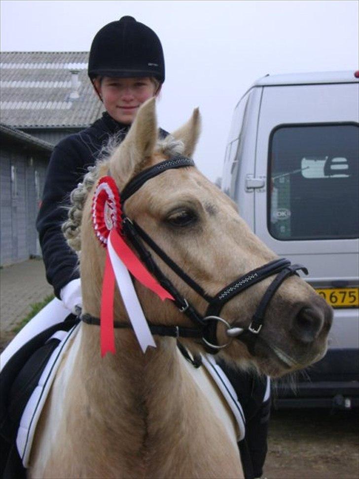 Anden særlig race Sofielunds Baloo                      (Søsters) - Min lille præmie pony...! billede 1