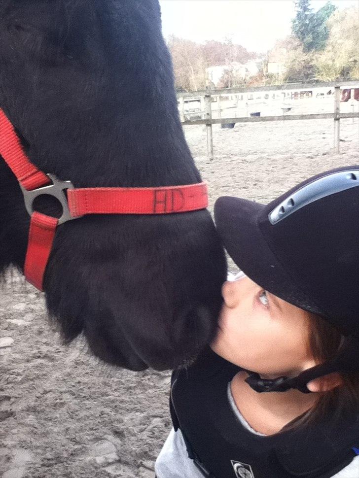 Islænder Örvar, min elskede! - Fordi, jeg elsker dig. billede 1