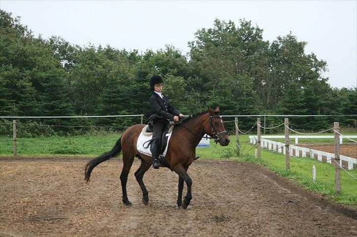 New Forest Bakkegårdens Pink Aline  billede 19