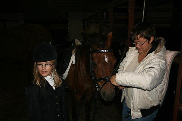 New Forest Bakkegårdens Pink Aline  billede 20