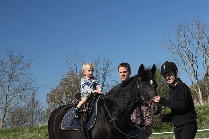 Anden særlig race Sheila  - min lille fætter rider:) billede 3