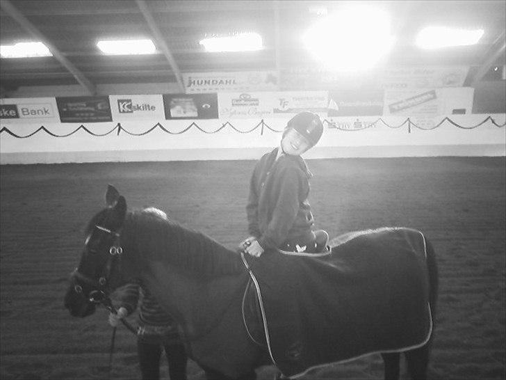 Anden særlig race Sheila  - her rider min veninde på sheila,  billede 5