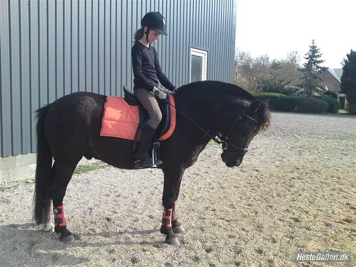 New Forest Lindholms Micky - Du er så sød Micky<3 billede 12