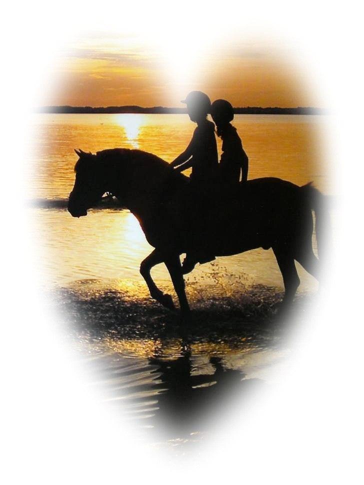 New Forest Lindholms Micky - Mig, Isa og Micky<3 Elsker jer! billede 14