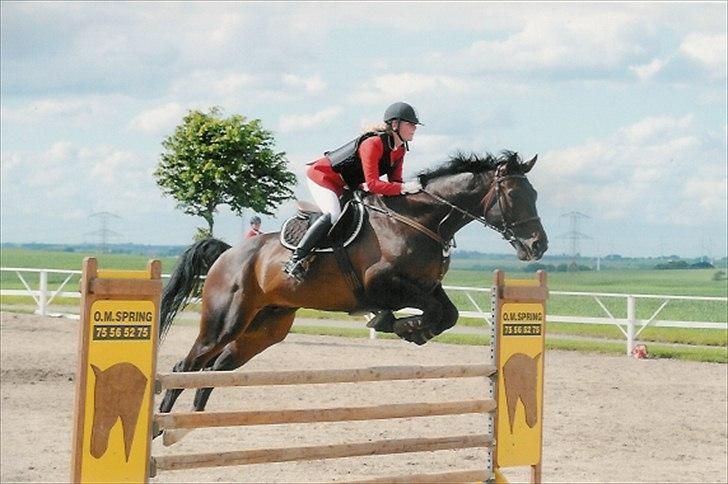Hannoveraner Carlos/Check In - Distriktsstævne Skårupgård LB** - 1. plads billede 17