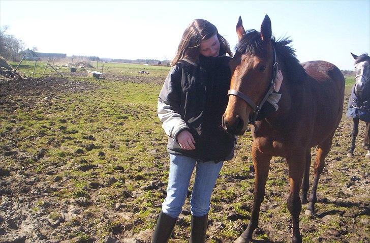 Fuldblod (XX) Mille Nyholm *solgt:(* billede 11