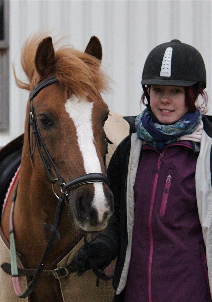 Hollandsk Sportspony Benny (GL PART) - © NB © billede 13