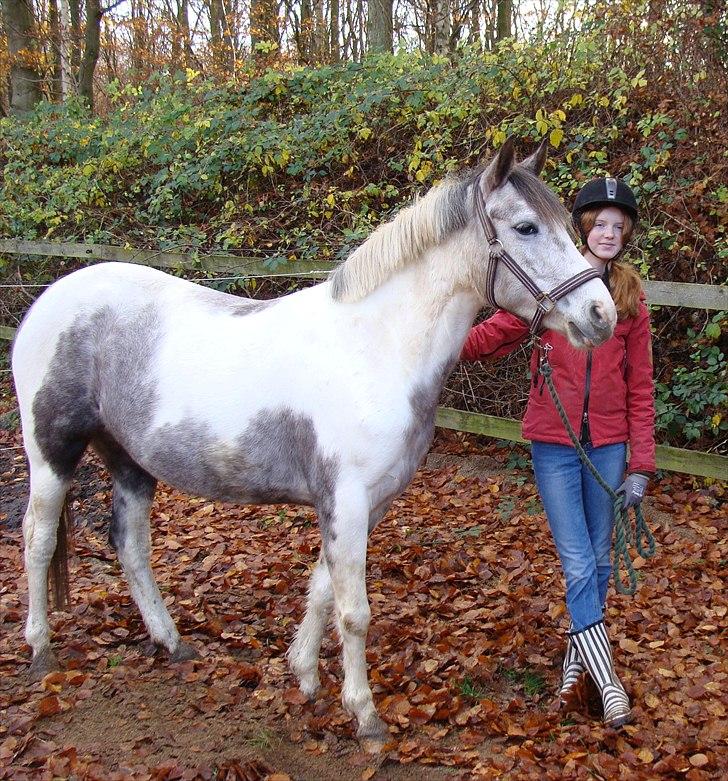 Anden særlig race Venja - Venja og jeg, omkring en uges tid efter at hun for første gang satte sine smækre ben i ERK :) - Efteråret 2010
Foto: Mor billede 10
