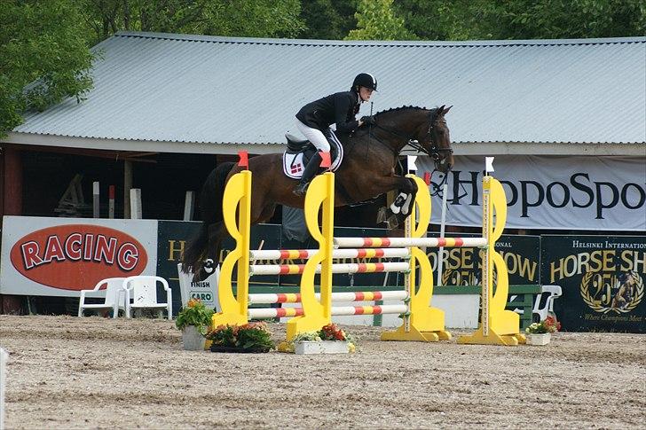 Dansk Varmblod Falypso Bell - Springning NM 2010, Finland - vi blev nr. 5 og vandt sølv for hold billede 18