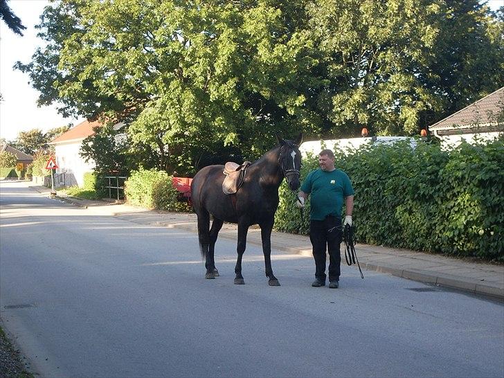 Anden særlig race Polly (min fars) billede 8