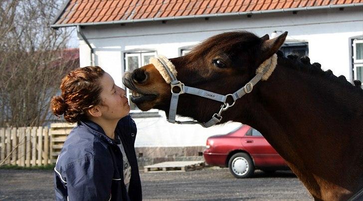 New Forest | Lundemarksg. Cappuccino - 7# MØØØØØØSS!!! Kysser på komando ! <3 Så nu kysser han bare hele tiden xD HAHAH Som vi siger "han vil meget hellere kysse, end at ride" :* - Foto: Klara Dausel billede 8