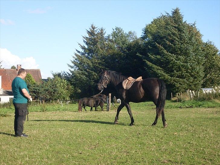 Anden særlig race Polly (min fars) billede 9