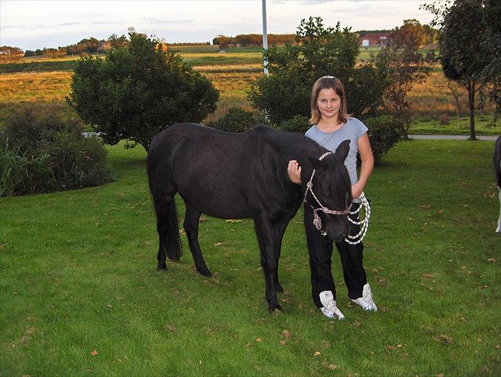 Anden særlig race Lotte billede 1
