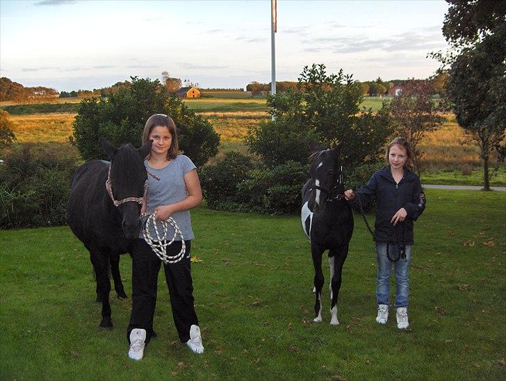 Anden særlig race Lotte billede 2