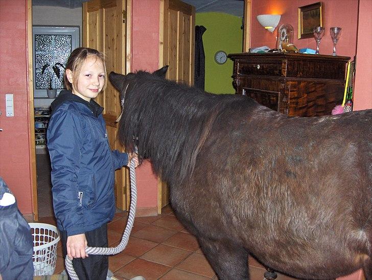 Anden særlig race Lotte billede 3