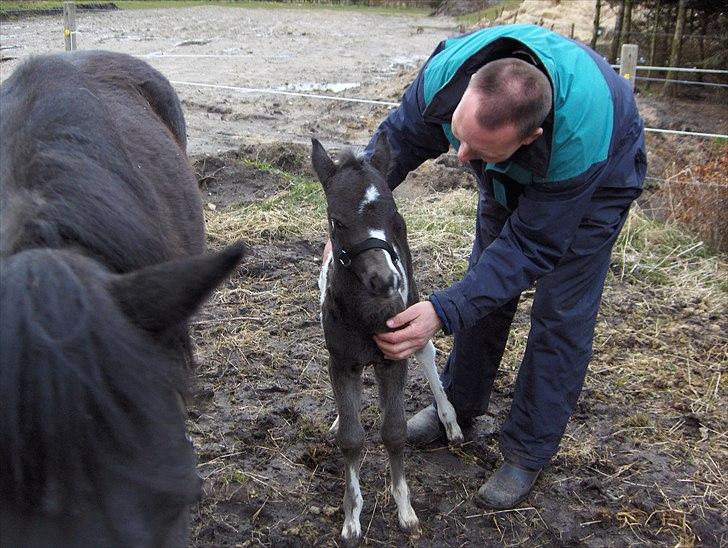 Anden særlig race Smilla billede 5