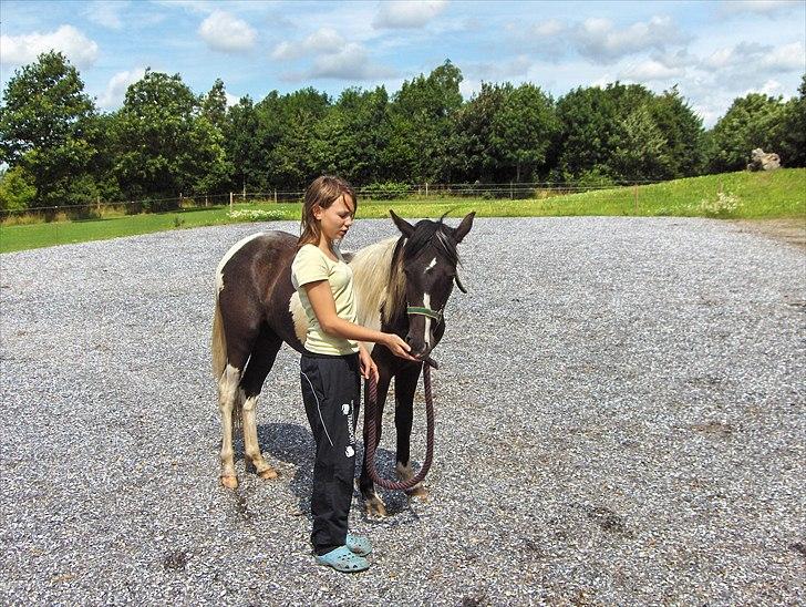 Anden særlig race Smilla billede 13