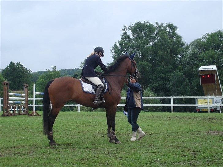 Dansk Varmblod Michellina (Fie) - Fie får sin 2 plads i Mb i Kellerup 2010. billede 12