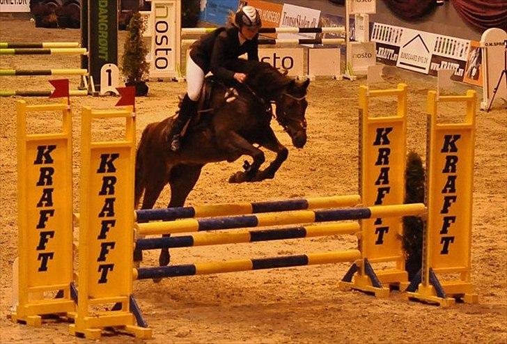 Tysk Sportspony Lindenbooms Patrizia(Amy) - warm up 2010 vores comeback :') billede 3