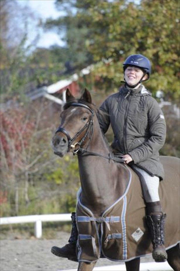 Tysk Sportspony Lindenbooms Patrizia(Amy) - Fordi du er ALT for skøn<3 billede 9