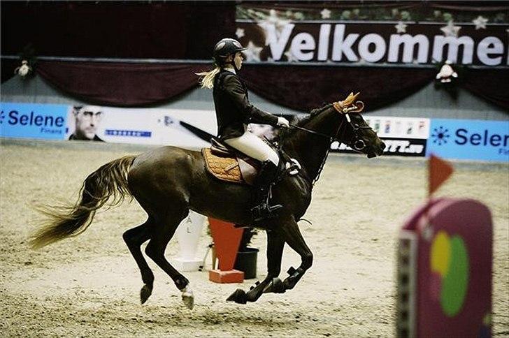 Tysk Sportspony Lindenbooms Patrizia(Amy) - 2009 vores bedste år<3 billede 15