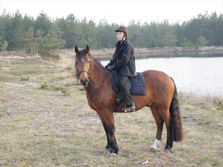 Anden særlig race Magne Gad billede 7