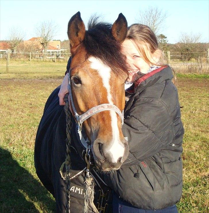 Anden særlig race Gyrupgaards Bailey B PONY - På folden billede 8