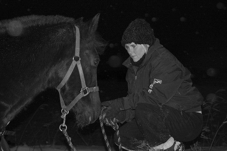 New Forest Odbjergs Bolette - Bolette, vinter 2010 :).  billede 7