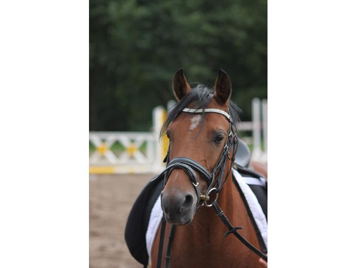 {{currentPhoto.altText}} billede {{currentPhoto.number}}