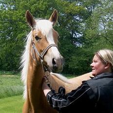 Palomino Lysgaards Arwen