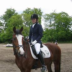 Anden særlig race Miss Put