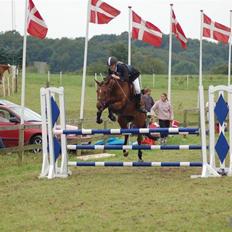 Anden særlig race Regina (Solgt)