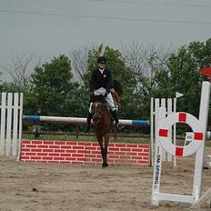 Anden særlig race Regina (Solgt)