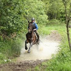 Oldenborg Kildegårds Fidelius