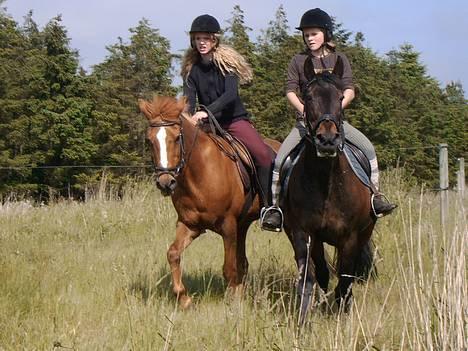 Traver hertug - ja, det er mig og Donna, med Simone og Pernille. billede 3
