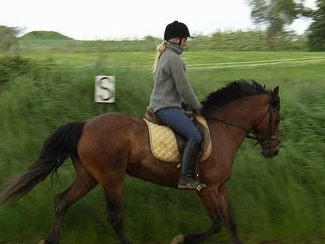 Anden særlig race Mademoiselle * solgt * billede 7